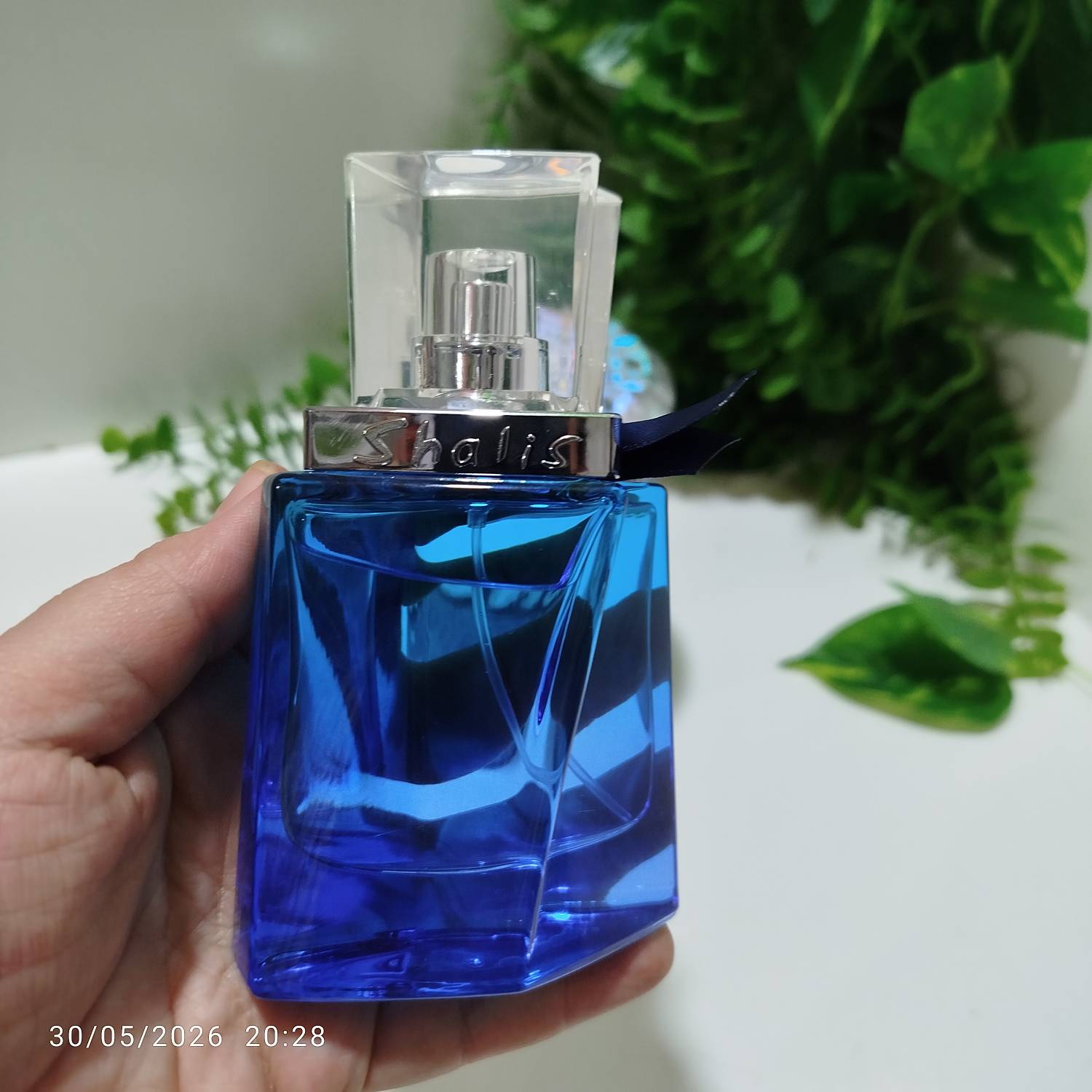 عطر اورجینال شالیز زنانه - Image 4